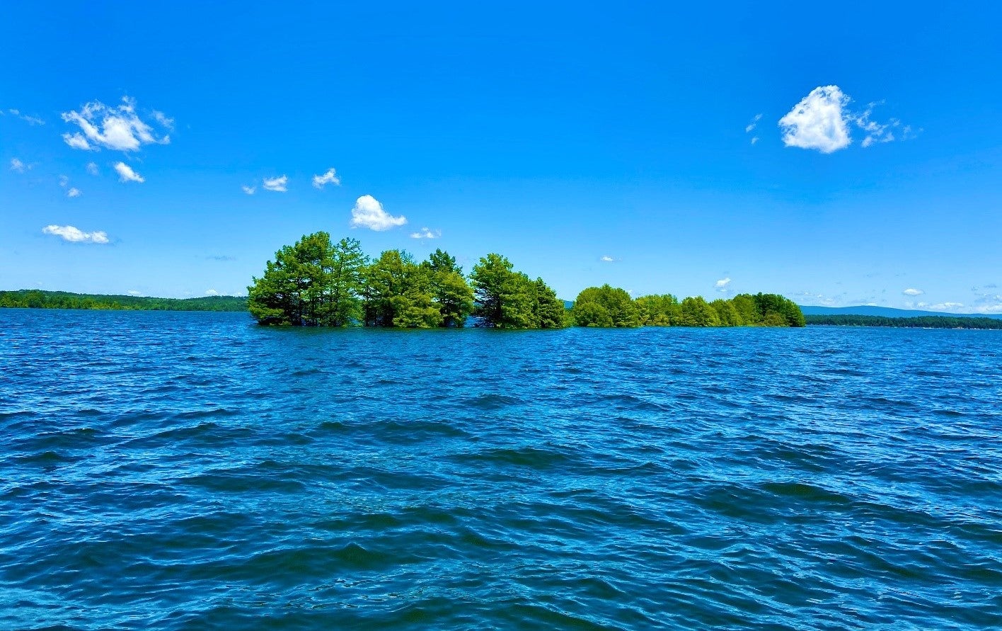 A stand of green bald cypress trees sits in a lake filled with deep blue water. Small white clouds dot the blue sky. 